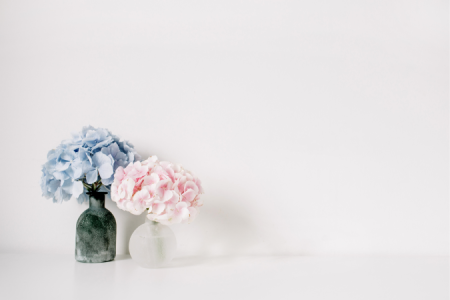 Návrh bez názvu (47)